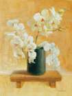 White Orchids in Black Vase Art Print