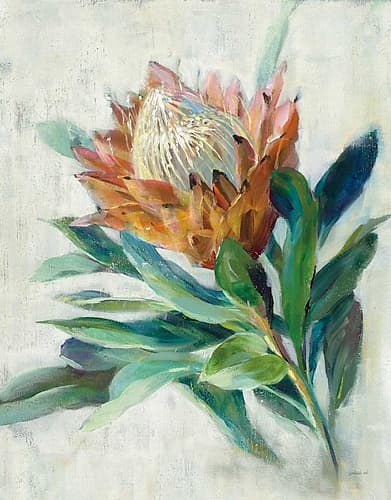 Protea Art Print