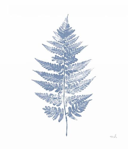 Fern Print I Blue No Shiplap Nature Print