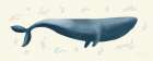 Ocean Life Whale Art Print