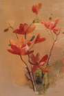 Red Magnolia Art Print