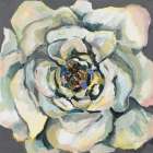 Bloom I Art Print