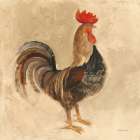 Rooster III Art Print