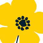 Pop Art Floral I Yellow Art Print