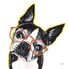 Bespectacled Pet IV Art Print
