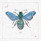 Outdoor Beauties VII Color Art Print