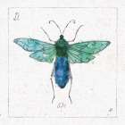 Outdoor Beauties X Color Art Print