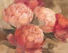 Pretty Pink Peonies Art Print