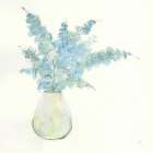 Plant Eucalyptus II Still Life Print