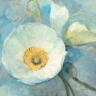 Spring Poppies v2 Art Print