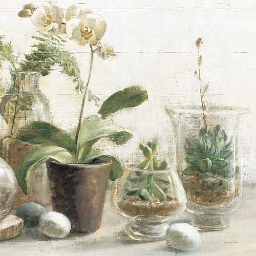 Greenhouse Orchids on Shiplap III Art Print