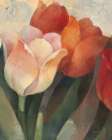 Time for Tulips II Art Print