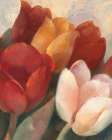 Time for Tulips III Art Print