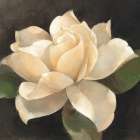Gardenia Blossom Art Print