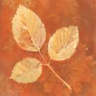 Autumn Leaves III Art Print