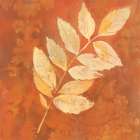 Autumn Leaves IV Art Print