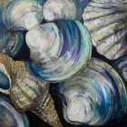 Key West Shells Art Print