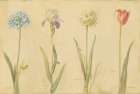 Spring Botanicals Art Print