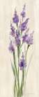 Farm Flower II Light Art Print