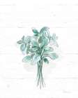 Farmhouse Cotton VI No Words Art Print