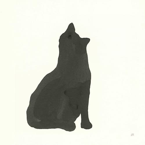 Black Cat I Animaux reproduction