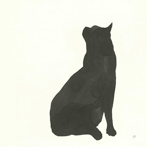 Black Cat II Animaux reproduction