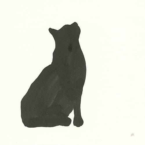 Black Cat III Animaux reproduction