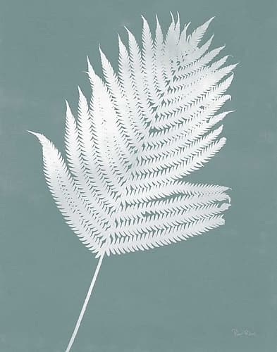 Nature by the Lake Ferns III Gray Mist Crop Nature Print