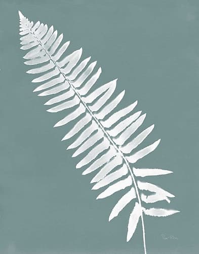 Nature by the Lake Ferns IV Gray Mist Crop Nature Print