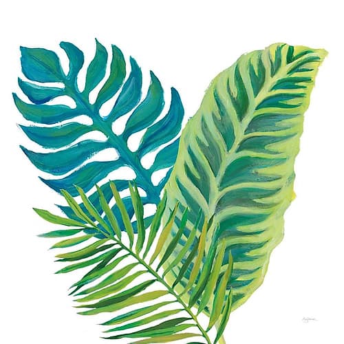 Coconut Palm VI Art Print