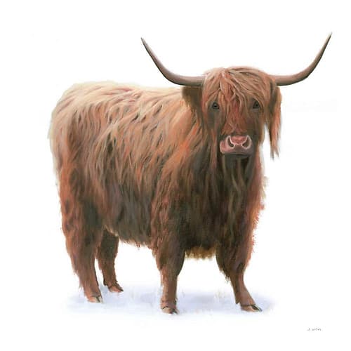 King of the Highland Fields on White Art Print