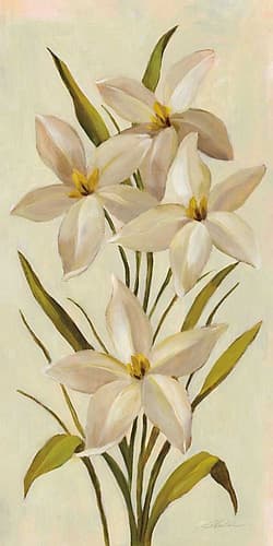 Elegant White Florals II Art Print
