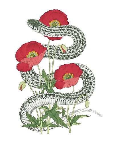 Natural Beauty II Art Print
