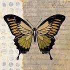 Belindas Butterfly I