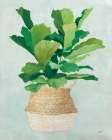 Woven Palm II Botanical Print