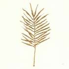Gilded Palm VI Art Print