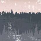 Evening Forest II Art Print