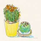 Cacti Garden IV Botanical Print