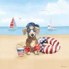 Summer Paws Patriotic III Art Print