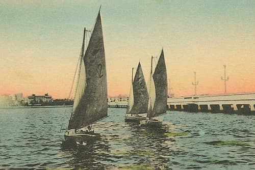 Florida Postcard I Art Print