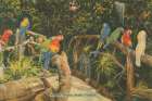 Florida Postcard II Art Print