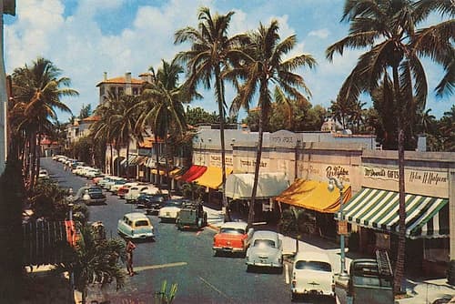 Florida Postcard IV Travel Print