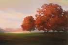 Autumn Glow Art Print