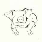 Line Pig II Art Print