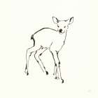 Line Fawn Art Print