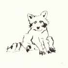Line Raccoon Art Print