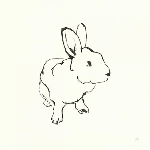 Line Bunny II Animaux reproduction