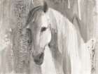 Quiet and Calm Brown Art Print