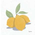 Fruity Cocktails V Art Print
