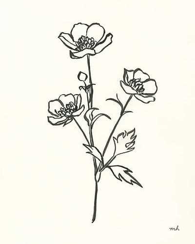 Buttercup Art Print